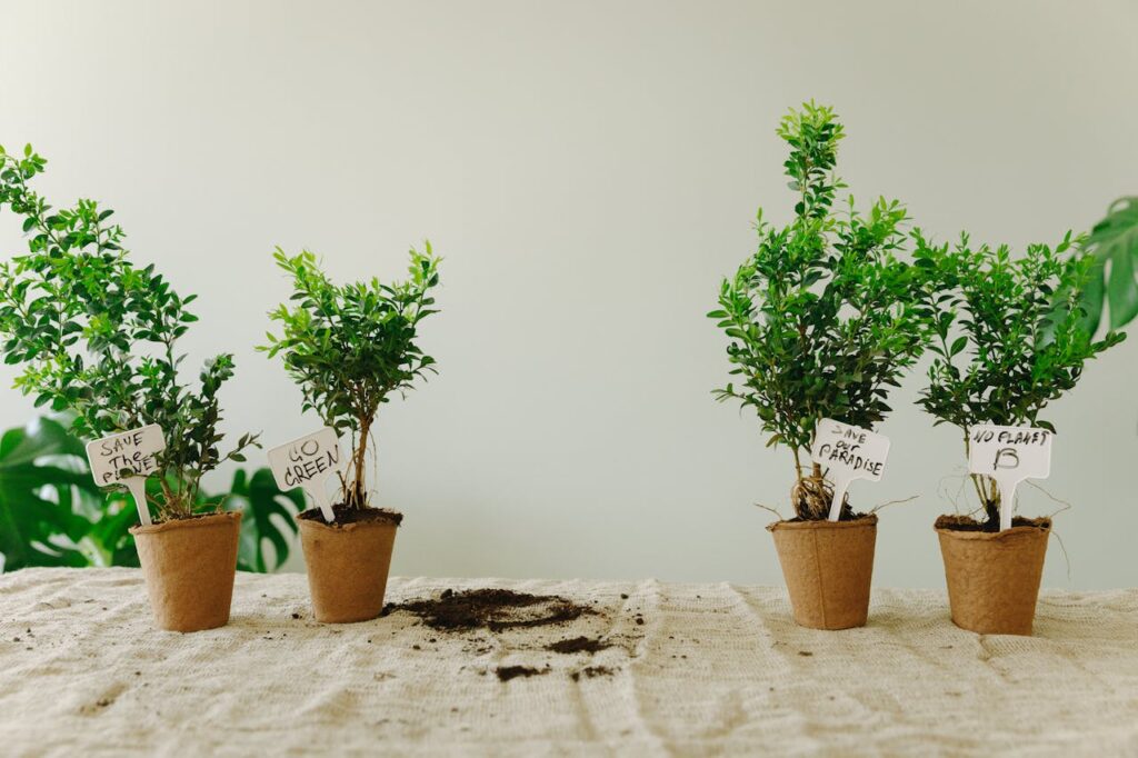 Four small potted plants with eco-friendly messages, encouraging nature conservation indoors.