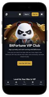 Bitfortune A Guide for Experienced Players -1272333402 Bitfortune A Guide for Experienced Players -1272333402