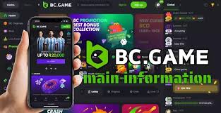 BC.Game Casino and Sportsbook Your Ultimate Gaming Destination 681323113