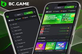 Payment Options at BC.Game Indonesia A Complete Guide