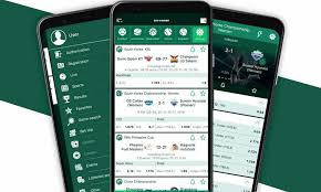 All You Need to Know About BetWinner -821387573 All You Need to Know About BetWinner -821387573