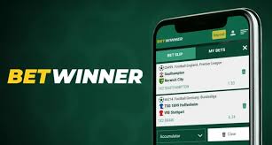 BetWinner Online Casino Your Ultimate Gaming Destination
